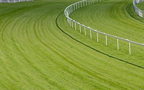 July Durban Handicap racecourse view close up