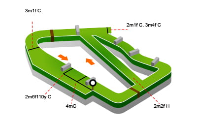 Kelso Racecourse map