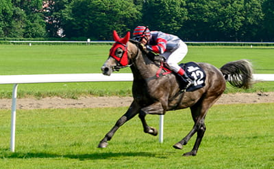 Horse running across the turf at Leciester racecourse