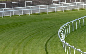 A Lockinge Stakes racecourse view
