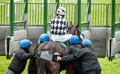 Ludlow Racecourse horse being taken to the gate