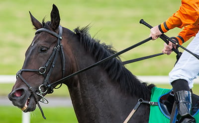 A modern look at Musselburgh Racecourse