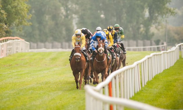 A horse race at NetBet