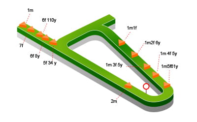 Newbury Racecourse map in depth