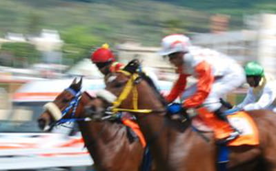 A modern race at Newbury, with blurred riders