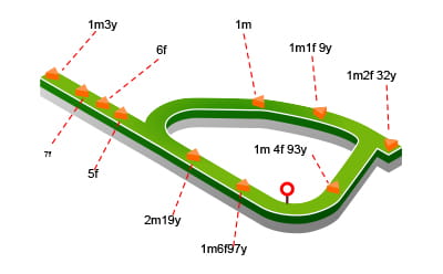 Newcastle Racecourse map in detail