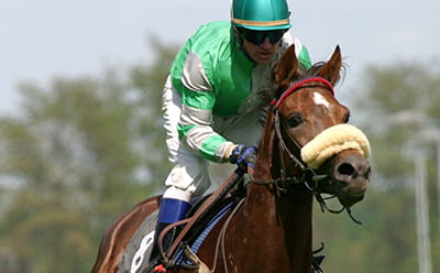 A modern Newmarket July Festival race with a close up of a horse running