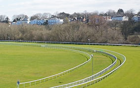 A Newmarket July Festival racecourse view