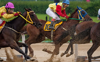 A modern Northumberland Plate race with the focus on the riders