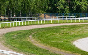 A Northumberland Plate racecourse view