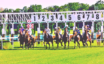 A vintage Northumberland Plate race in black and white