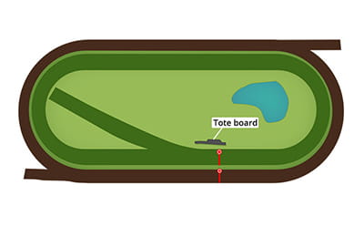 A map of the Pegasus World Cup racecourse