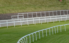 A close-up of the view of the Pegasus World Cup racecourse