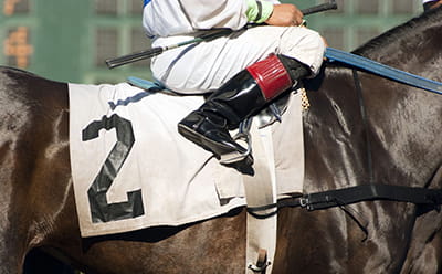 A modern horse at Perth Racecourse, with a close up of the flank and jockeys foot