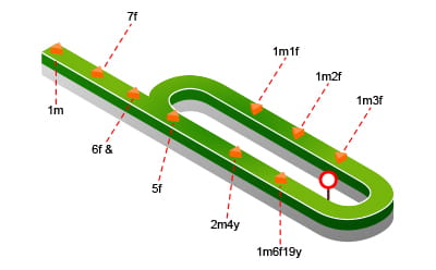Redcar Racecourse map in detail