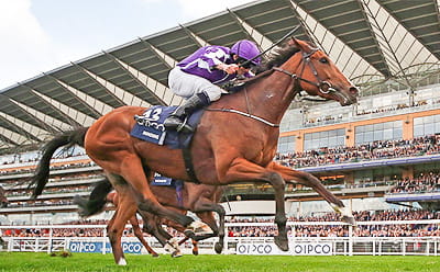 The Royal Ascot Festival
