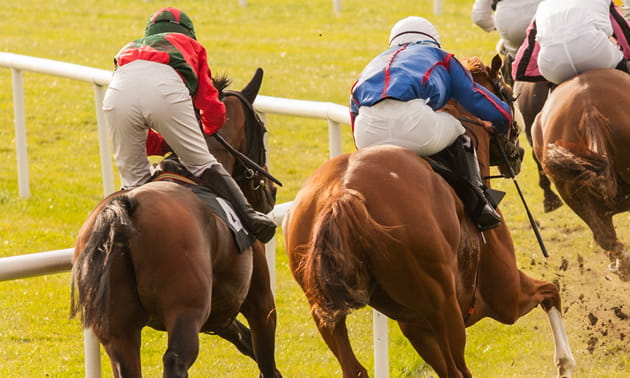 The Royal Panda horse racing market