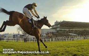 The Grandstand at Sandown Park Racecourse with a horse jumping in the foreground