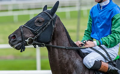 A modern-day Stratford on Avon, with a close up of a rider on a horse