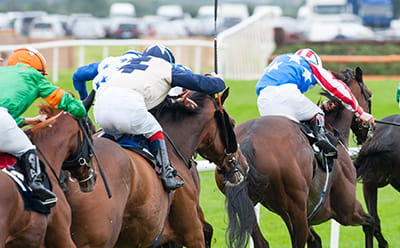 Taunton Racecourse modern