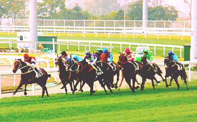 Horses running many years ago at Cheltenham