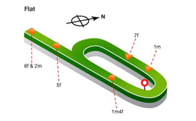 Thirsk Racecourse map in detail