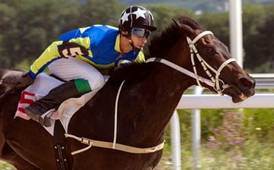 A modern Tingle Creek race with a close up of the horse