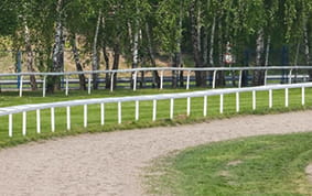 Tingle Creek racecourse view