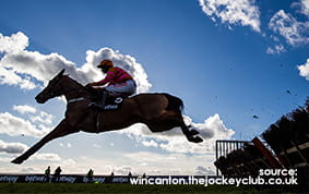 A view of the Grandstand at Wincanton Racecourse with a horse jumoung a hurdle