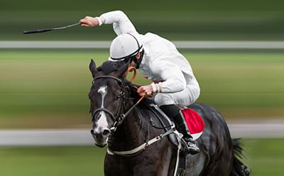 The modern York Racecourse with a jockey riding his horse