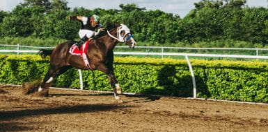 Horse and jockey running on a race track