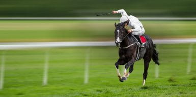 A horse running