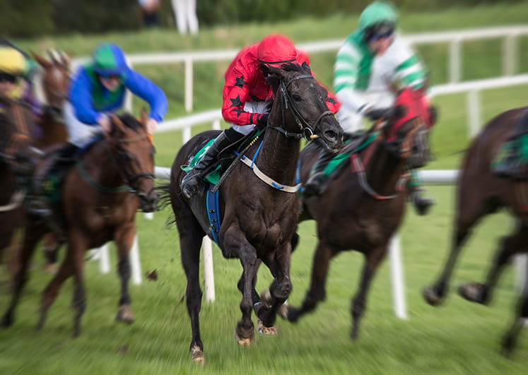 Horses racing