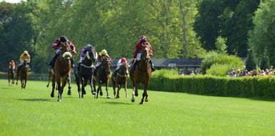 Horses on track