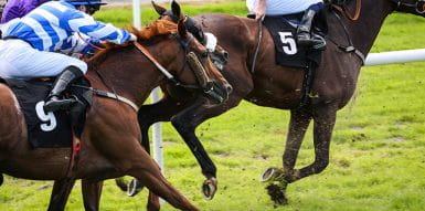 horses running