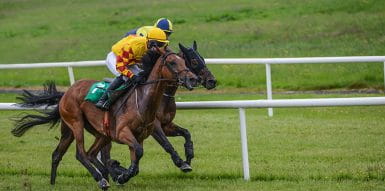 horses on track