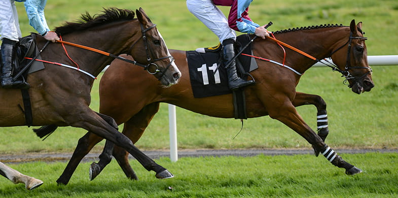 horses racing