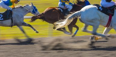 horses on track