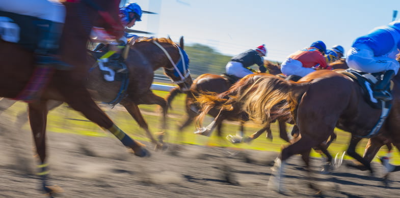 horses racing