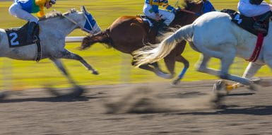 Horses running