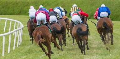 Horses running