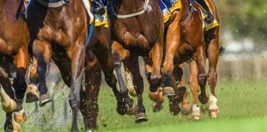 english racing horses