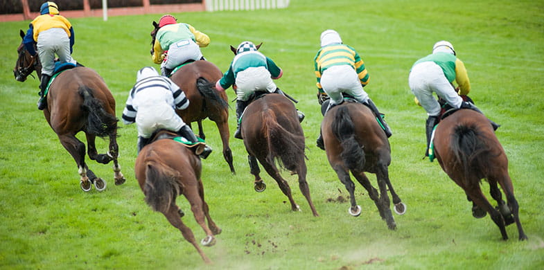 five horses racing