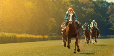Fast moving horse race