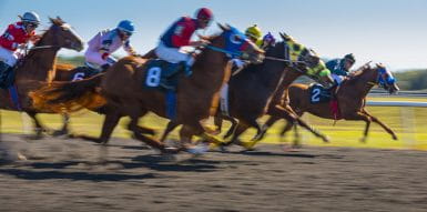 horses running on track