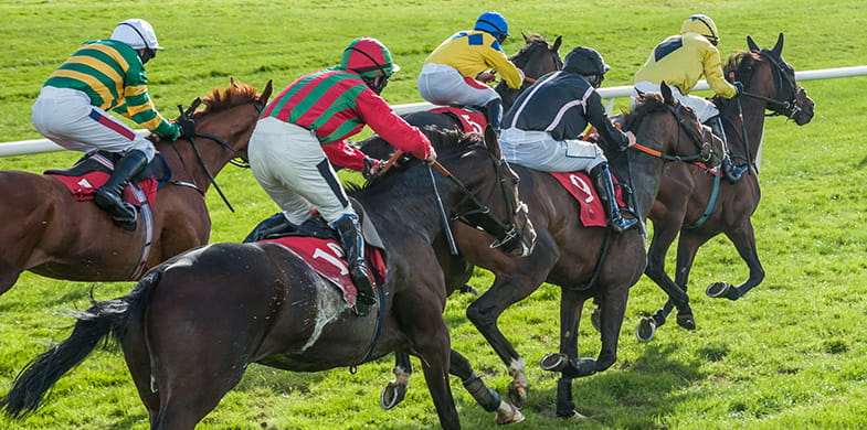 horses competing in a race