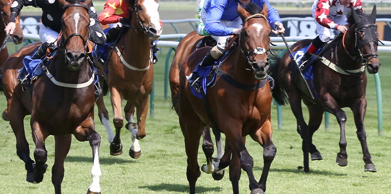 horses racing on track