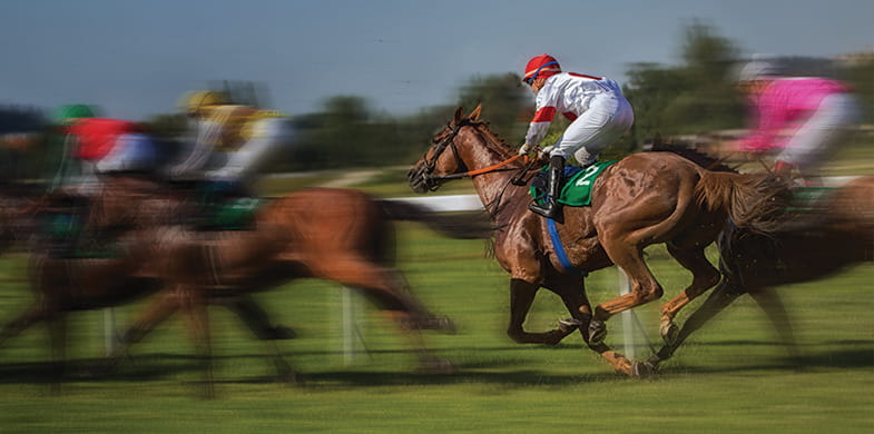 horses racing on course