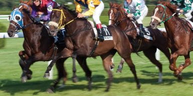 horses on track