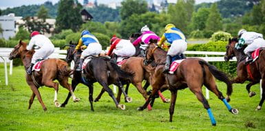 horses racing on track